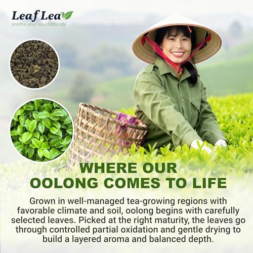 Oolong Tea Bags (40 Count)