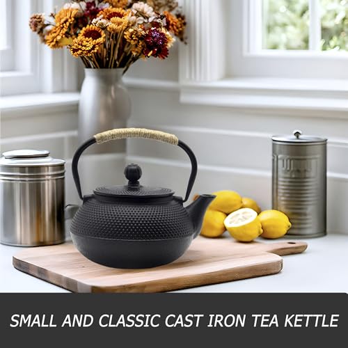 20.3oz Small Cast Iron Teapot Set with Warmer