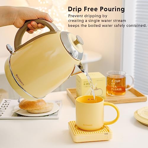K640 Stainless Steel Electric Tea Kettle with Auto Shut