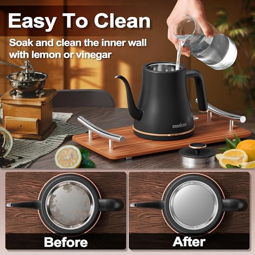 Gooseneck Electric Kettle