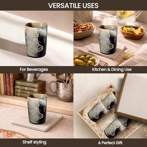 Viking Horn Shot Glasses Set of 12 (12 Count)