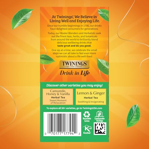 Decaffeinated Green Tea Bags (120 Count)