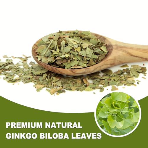 Ginkgo Biloba Tea Bags (50 Count)
