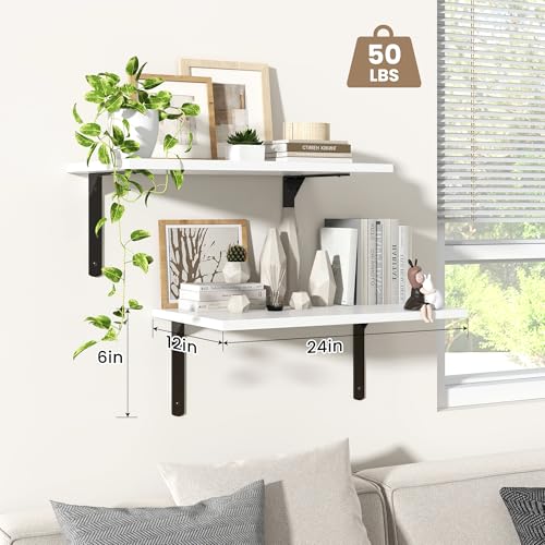 Floating Shelves for Wall (2 Count)