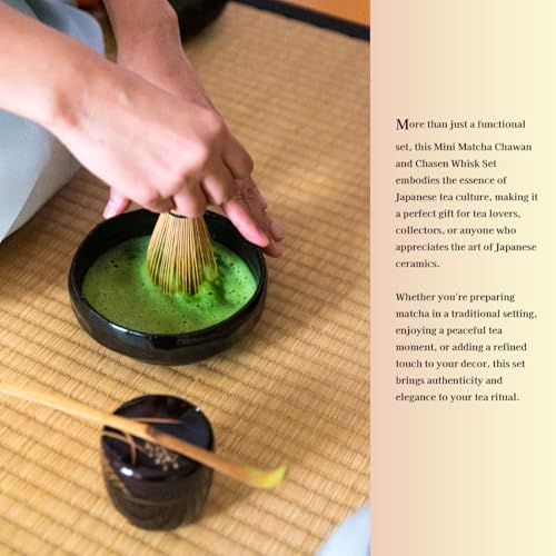 Japanese Traditional Mino Ware Handcrafted Mini Matcha Chawan Tea Bowl Cup Set With Chasen Bamboo Tea Whisk Ceremony Tableware Pottery