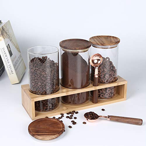 Sealed Glass Food Storage Containers with Airtight Wood Lids and Scoops for Kitchen Counter (3 Count)