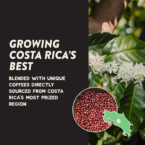 Costa Rica Volcanica Coffee Pods (24 Count)