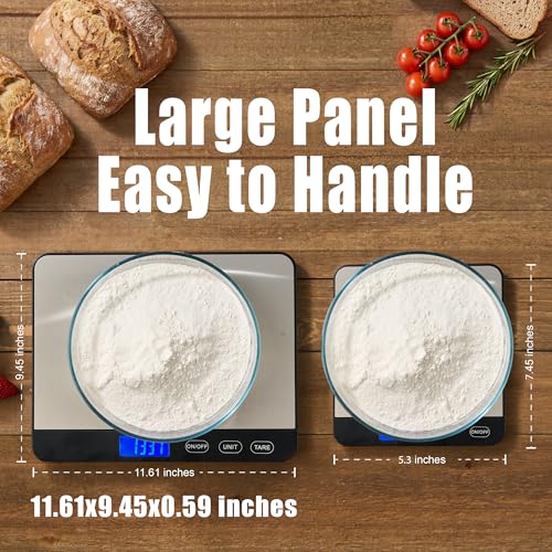 Food Scale 44lb
