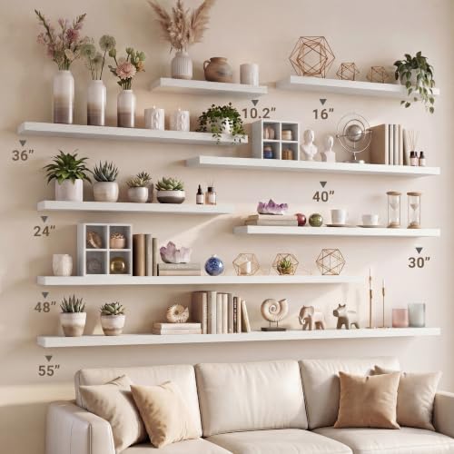 10 Inch Deep Floating Shelves 40” Set of 2 (2 Count)