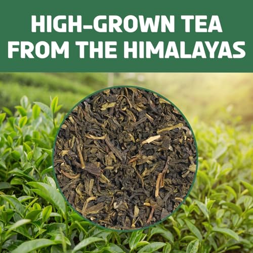 Green Tea Loose Leaf (3.53 Ounce)