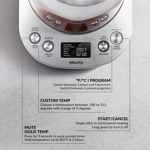Electric Tea Kettle Borosilicate Glass Tea Maker With Temperature Control and Infuser