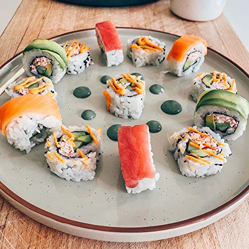 Ceramic Flat Dinner Plates Set of 6 (6 Count)