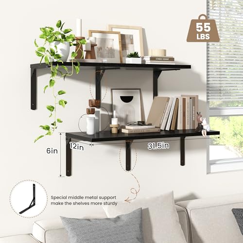 Floating Shelves for Wall (2 Count)