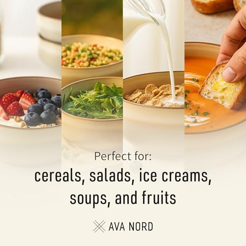Stoneware Ceramic Cereal Bowls Set of 4 (4 Count)