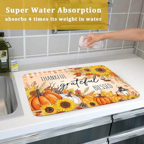 Autumn Pumpkins Dish Drying Mat for Kitchen Countertop