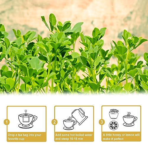 Fenugreek Tea Bags (50 Count)