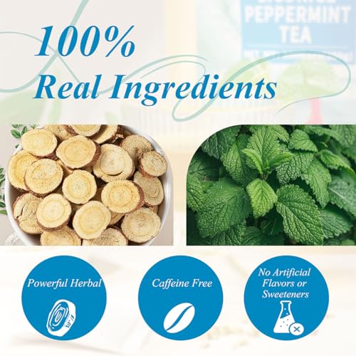Licorice Mint Tea Bags 100 Count