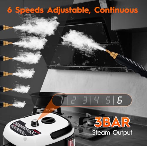 Steam Cleaner for Home