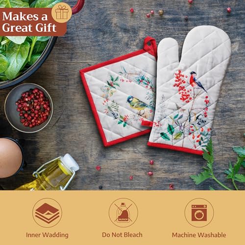 Pot Holders 100% Cotton Potholders (2 Count)
