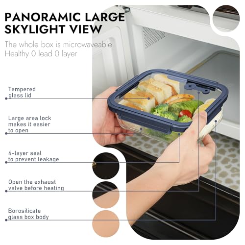 10 Pack Glass Food Storage Containers with Tempered Glass Lids (10 Count)