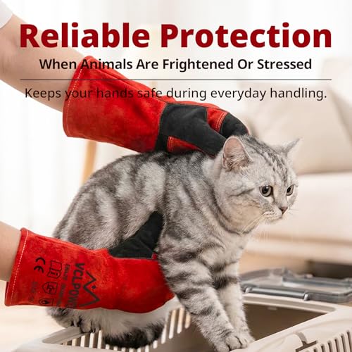 Animal Handling Gloves Size XL Fit for Men & Large Hands Bite Proof Double Leather Reinforced Padding Dog