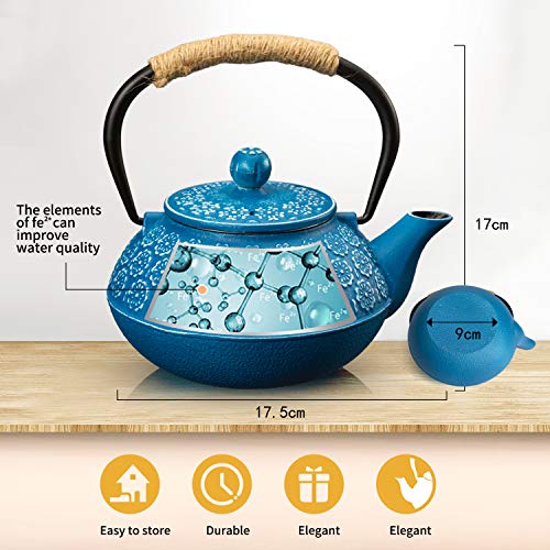 Cast Iron Tea Pot with Infusers for Loose Tea