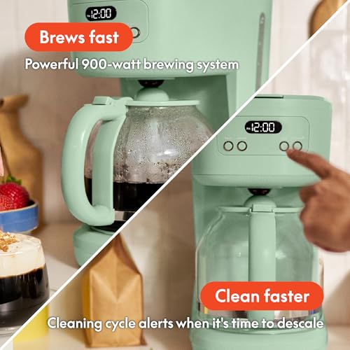 12 Cup Programmable Coffee Maker with No