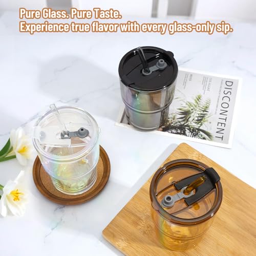 13 oz Glass Tumbler with Glass Straw and Lid (2 Count)