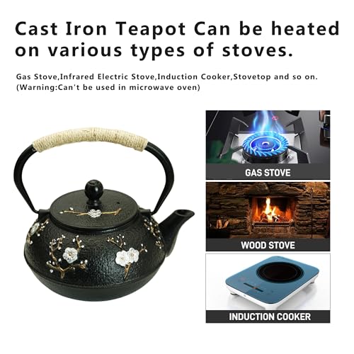 27oz Small Cast Iron Tea Pot for Stovetop