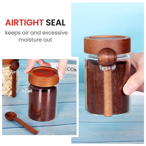 Glass Jar with Acacia Screw Lid and Spoon (3 Count)