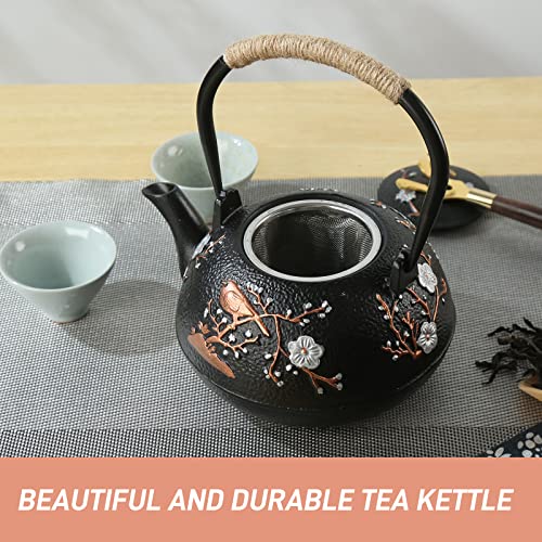 Cast Iron Teapot SECHUDO Teapot for Stovetop Safe Coated with Enameled Interior
