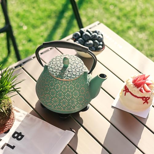 Cast Iron Teapot