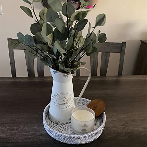 13.8 inch Round Rattan Tray