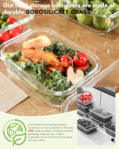 12 Pack Glass Containers with Tempered Lids (12 Count)