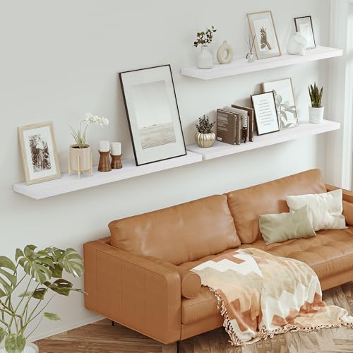 Deep Floating Shelves 55x10” Set of 1