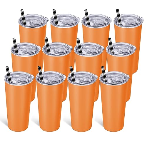 20oz Tumbler Stainless Steel Tumbler with Lid And Straw Vacuum Insulated Double Wall Travel Coffee Mug