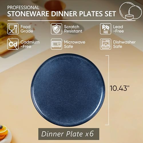 6 Piece Stoneware Dinner Plates Set
