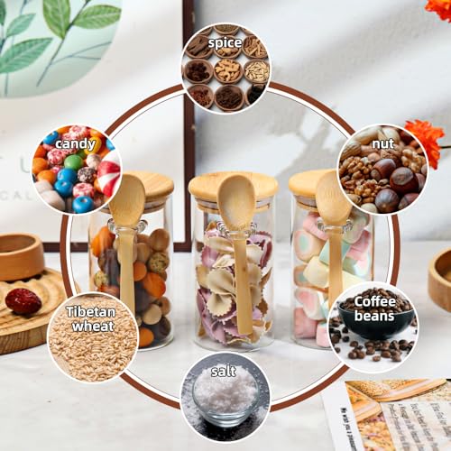 Glass Sugar Container with Spoon (8 Count)