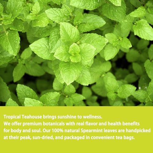 Spearmint Tea Bags (40 Count)