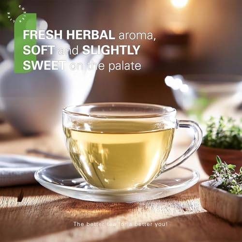 Soursop Leaves Tea Bags 50 Count