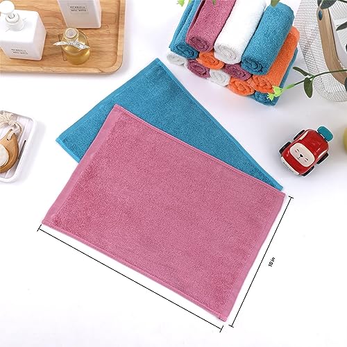 Dish Washcloths 12 Pack (12 Count)