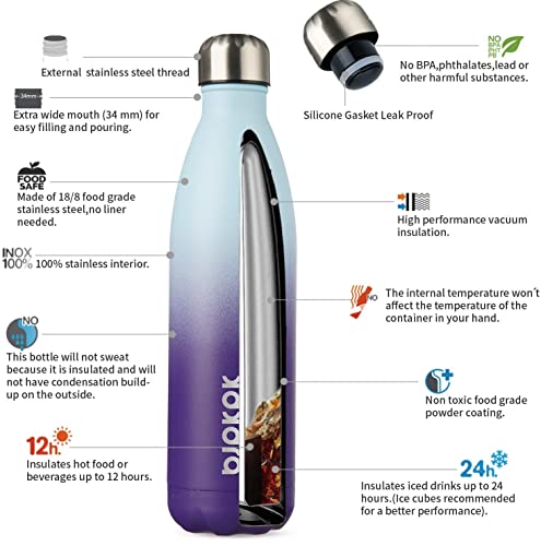 25 oz Insulated Water Bottle