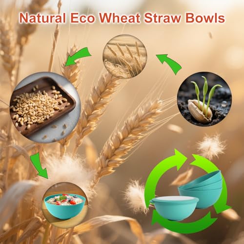 Wheat Straw Bowls Set of 4