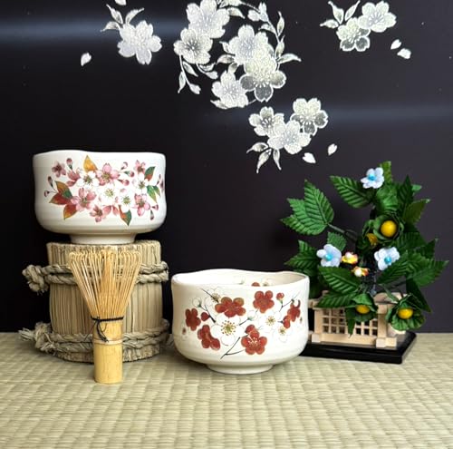 Japanese Traditional Mino Ware Handcrafted Mini Matcha Chawan Tea Bowl Cup Set With Chasen Bamboo Tea Whisk Ceremony Tableware Pottery