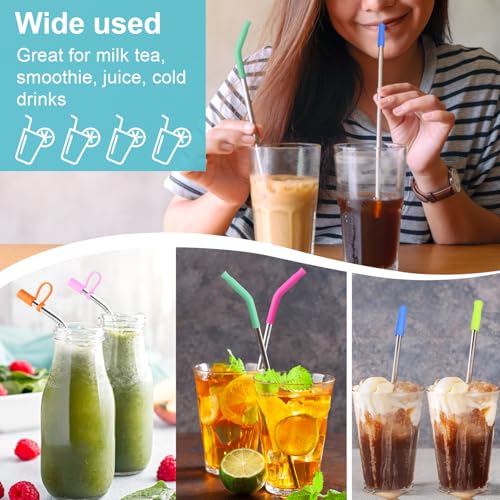 Reusable Stainless Steel Straws Set 6 PCS with 6 Silicone Tips (6 Count)