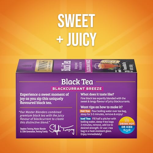 Blackcurrant Breeze Black Tea Individually Wrapped Bags (120 Count)