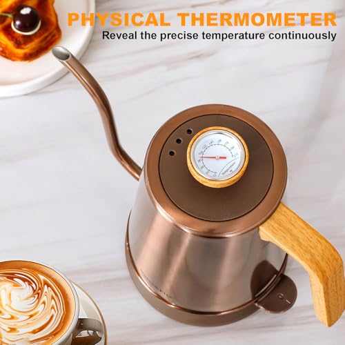 Electric Gooseneck Kettle with Thermometer