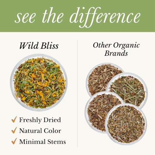 Organic St Johns Wort Tea (50 Count)