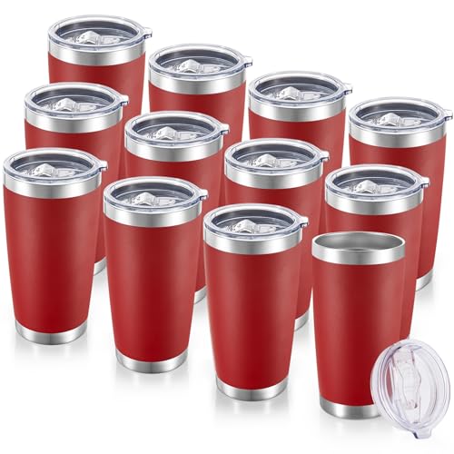 20 oz Tumblers Bulk Stainless Steel Tumbler with Lid (12 Count)