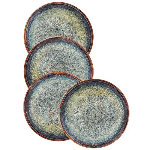 Ceramic Dinner Plates Dish Set (4 Count)
